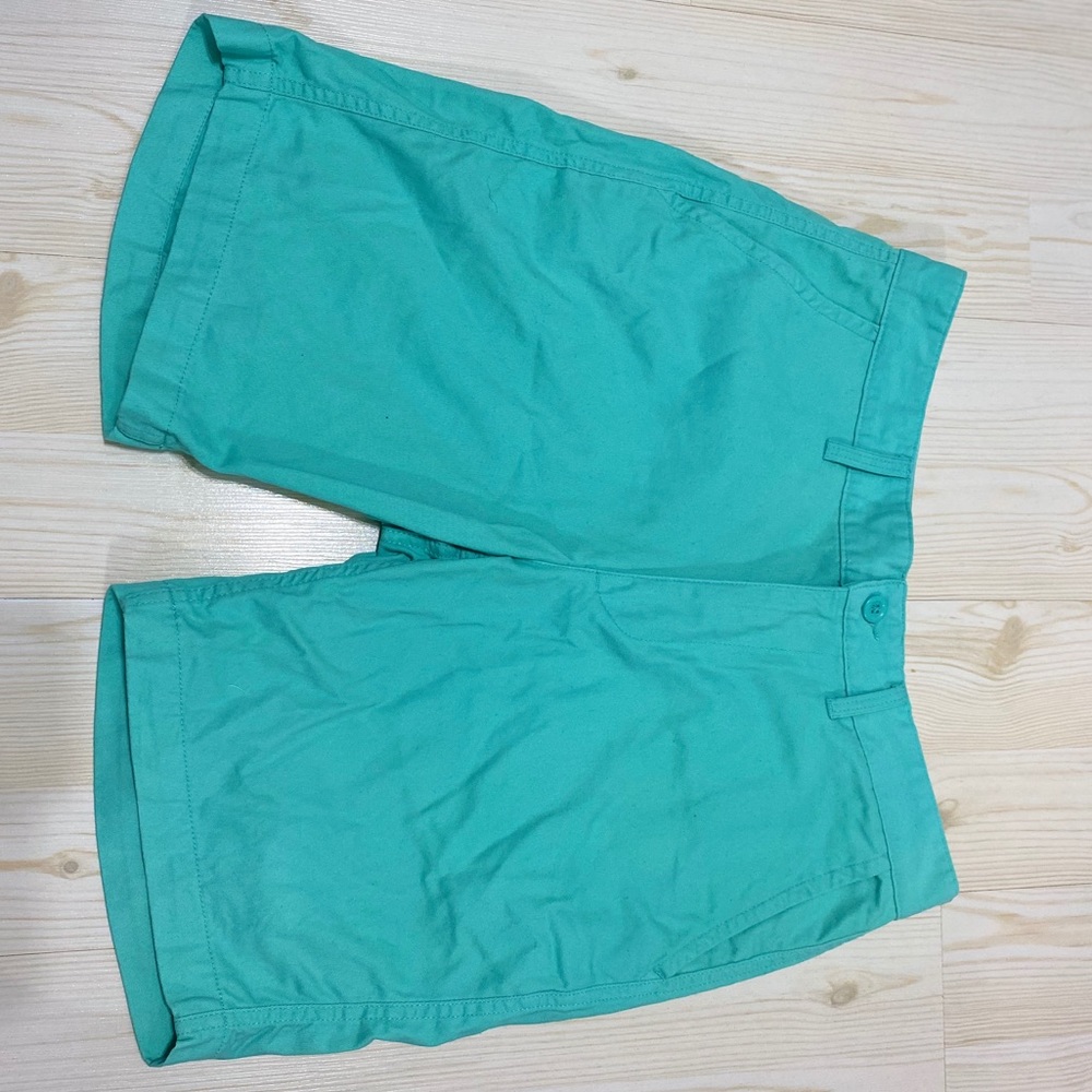 Men’s aqua dress shorts